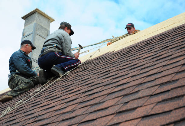 Roof Installation Near Me in Hinsdale, IL